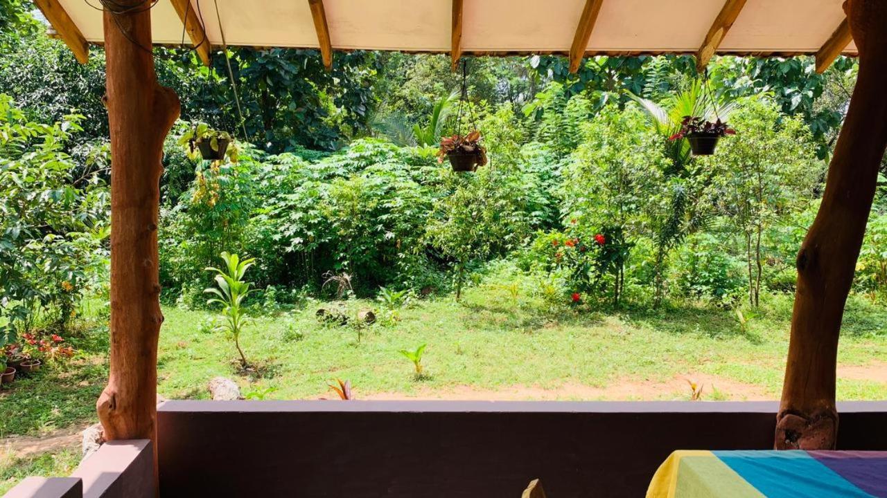 Sigiriya Chena Villa Luaran gambar
